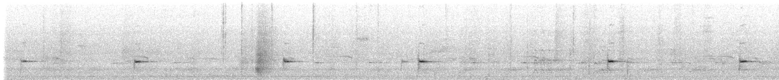 Белогрудый крапивник [группа prostheleuca] - ML151011401