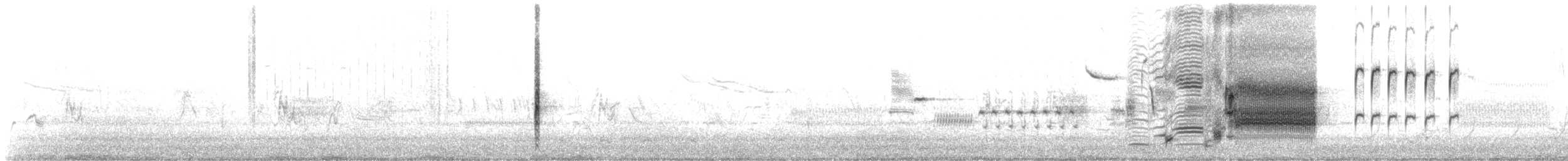 Rotflügelstärling [phoeniceus-Gruppe] - ML151060921