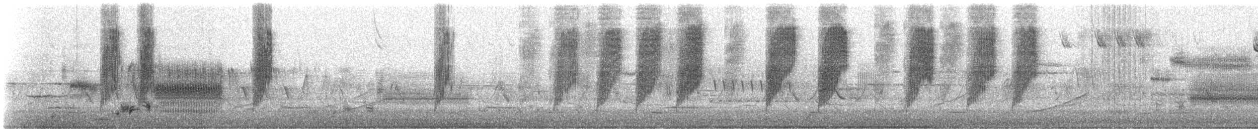 Savannah Serçesi [sandwichensis grubu] - ML151062891