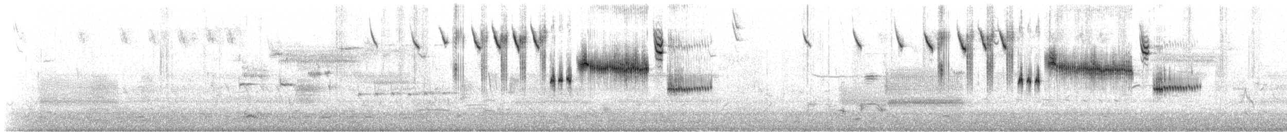 musespurv (sandwichensis gr.) - ML151063141