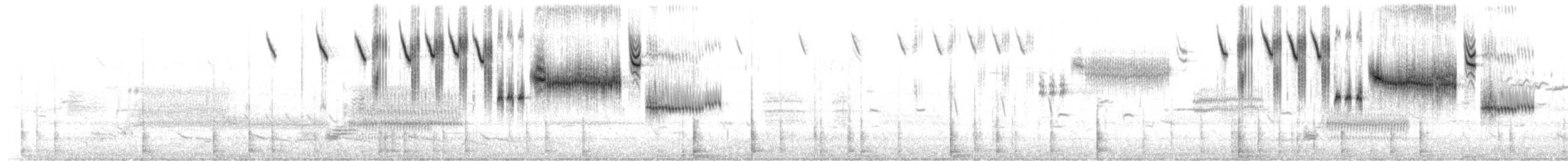 Savannah Serçesi [sandwichensis grubu] - ML151063241