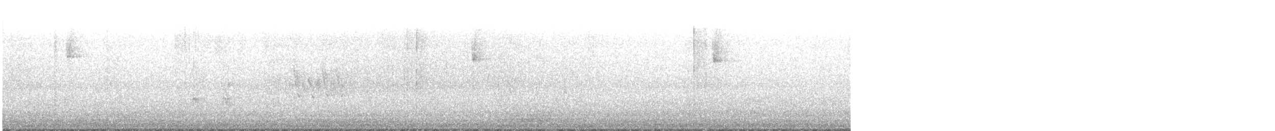 Тауї плямистий - ML151063321