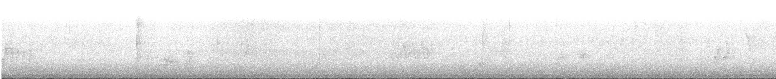 Тауї плямистий - ML151063331