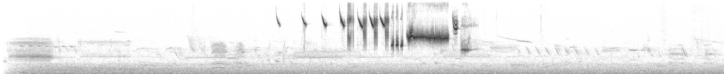 Savannah Serçesi [sandwichensis grubu] - ML151064531