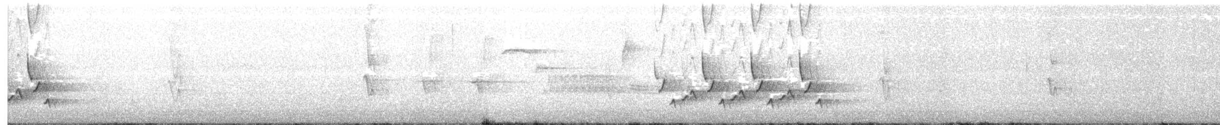 Каролинский крапивник - ML151069521