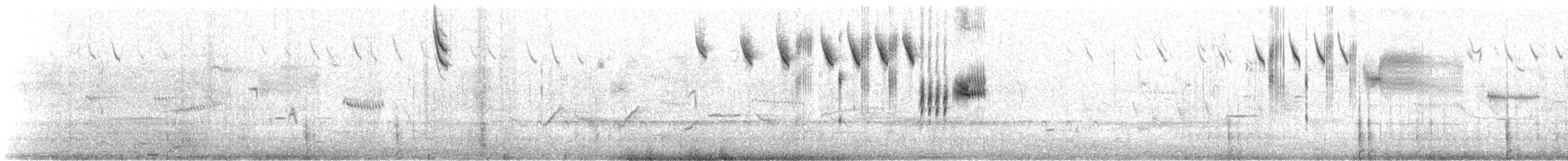 Savannah Serçesi [sandwichensis grubu] - ML151074731