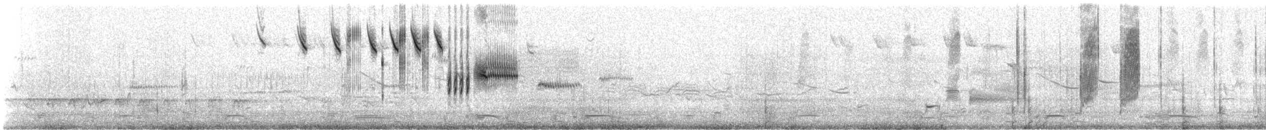 Savannah Serçesi [sandwichensis grubu] - ML151074821