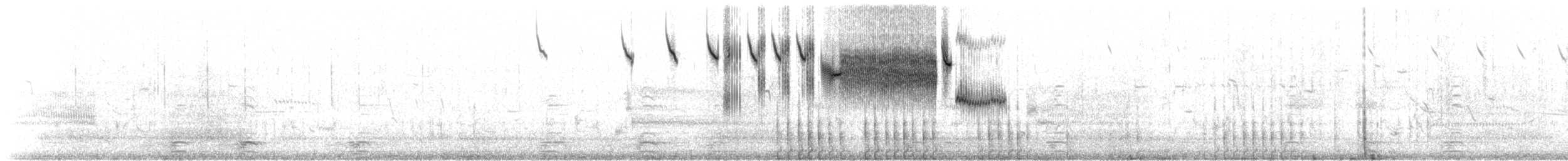 musespurv (sandwichensis gr.) - ML151074991