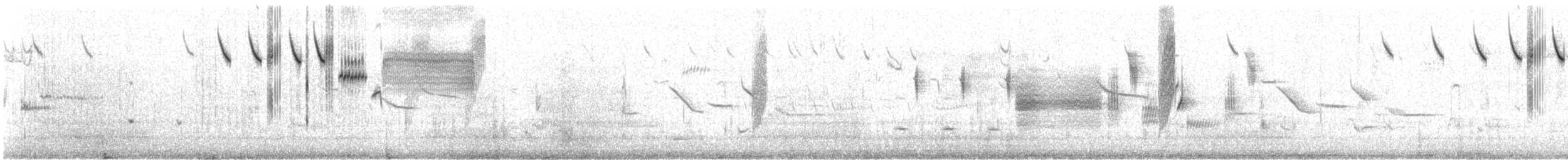 Savannah Serçesi [sandwichensis grubu] - ML151075741