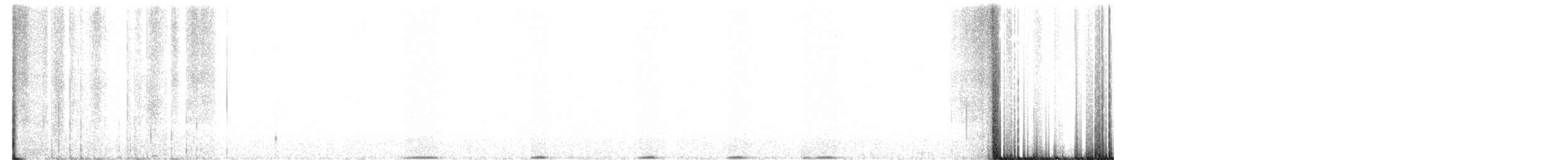 Gallo Fuliginoso - ML151082361