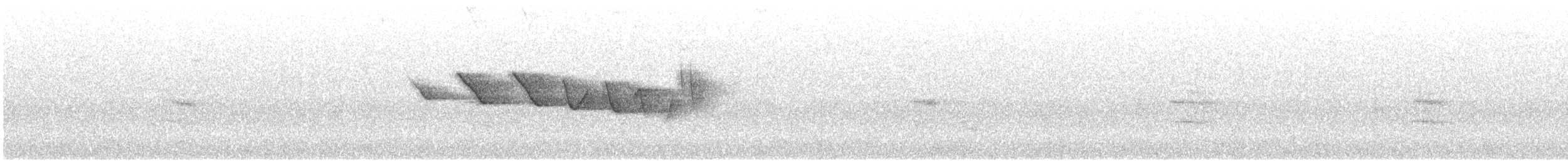 Трясогузковый певун - ML151084191