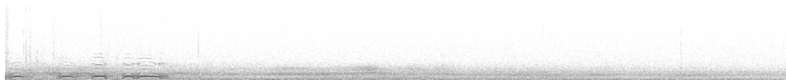 Chouette rayée - ML151103001