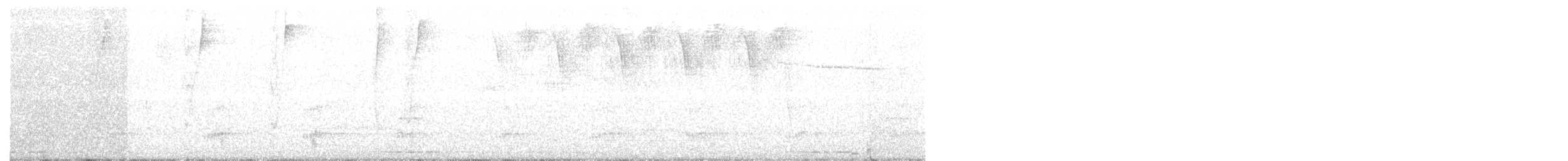 holub panamský - ML151194401