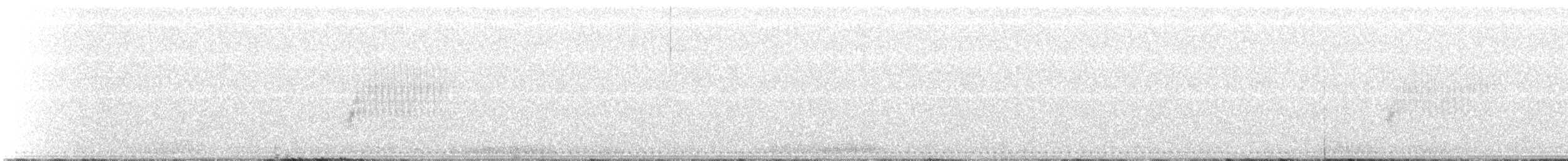 Тауї плямистий - ML151211571