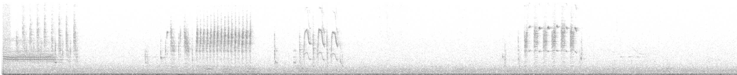 Troglodyte des marais - ML151235261