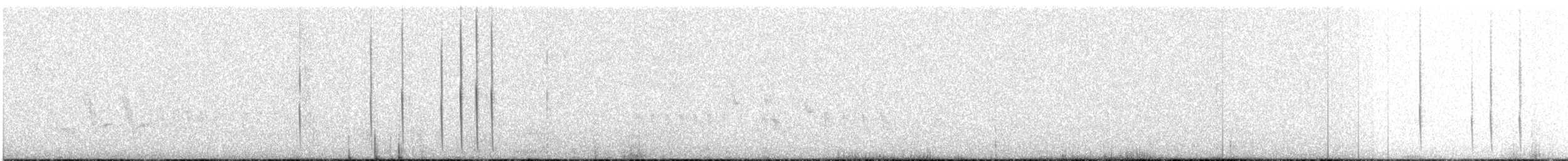 Шлемоносная горная нимфа - ML151323441