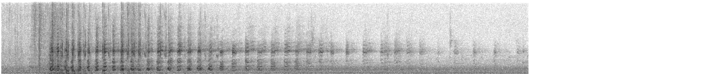 Ring-necked Pheasant - ML151344351