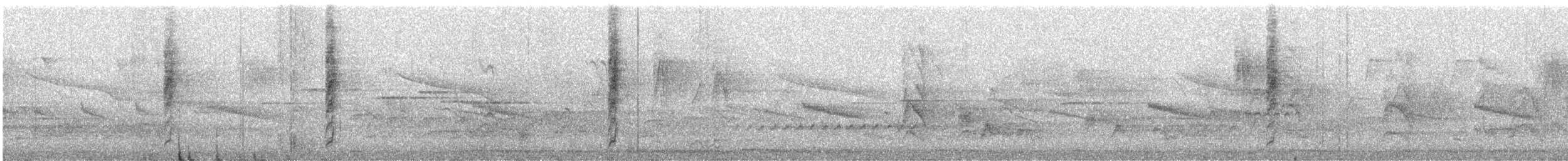 Віялохвістка білогорла - ML151370531