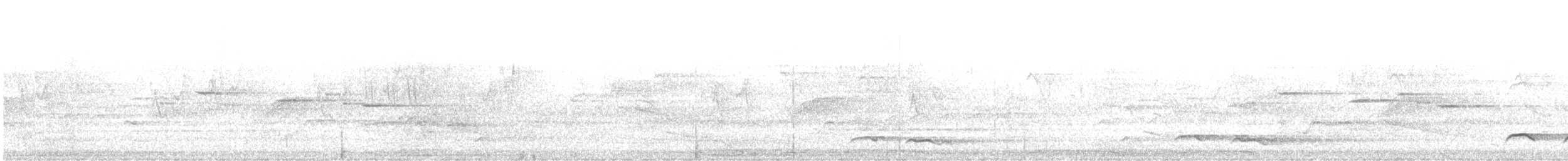 Зозуля білогорла - ML151371301