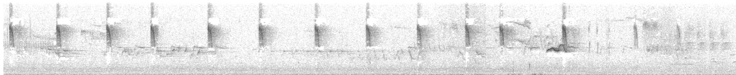 棕扇尾鶯 - ML151383491