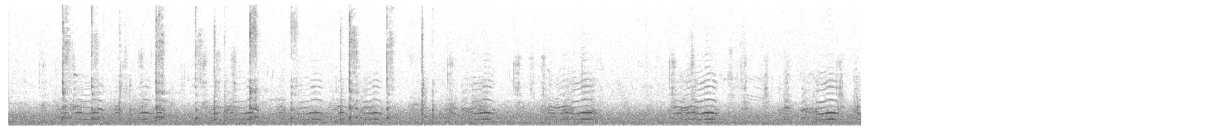 amerikasothøne (Red-shielded) - ML151397221