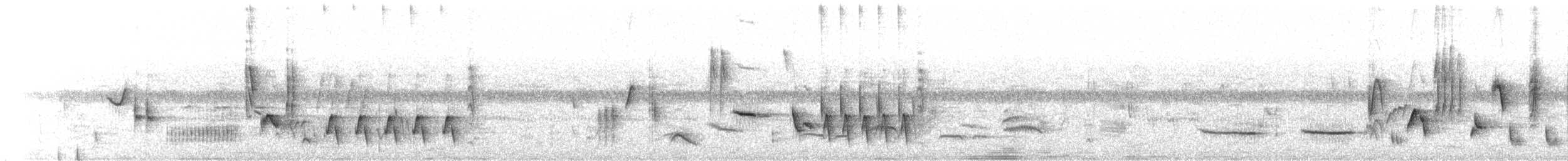 sørnattergal - ML151533031