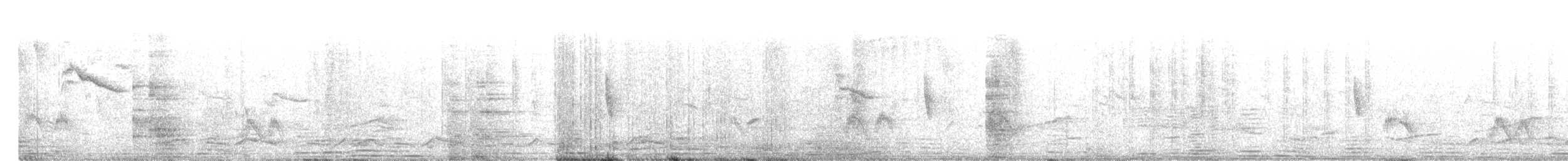 Костариканский колибри-герцог - ML151565641