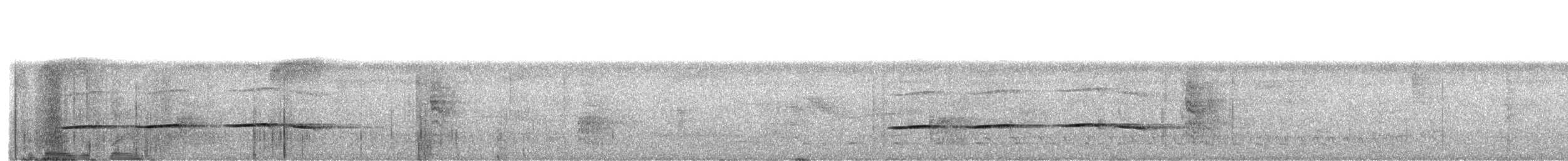 Striped Cuckoo - ML151610291