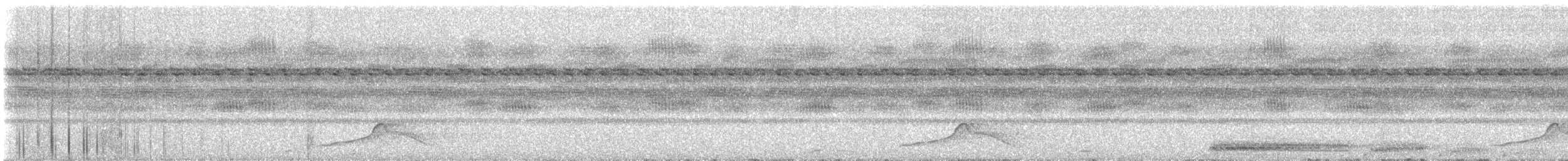 potu středoamerický - ML151611001