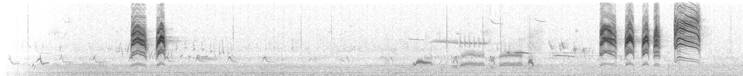 leskot modrošedý [skupina obscura] - ML151626981