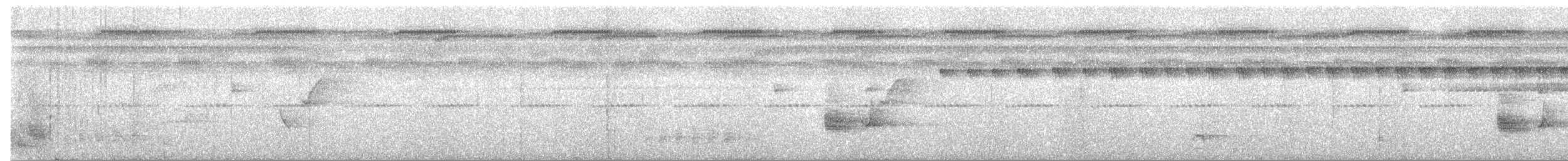 Манакін-стрибун карликовий - ML151629901