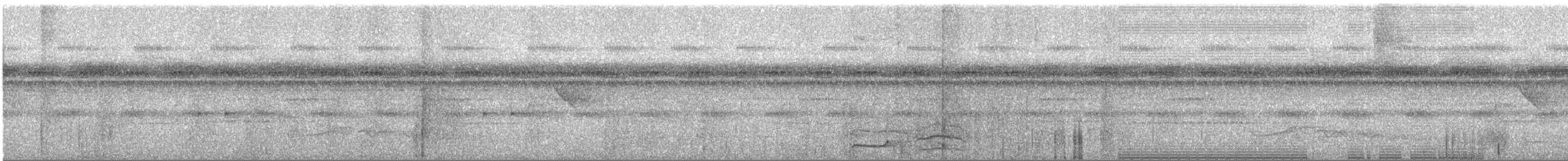Pic ondé (groupe grammicus) - ML151630111