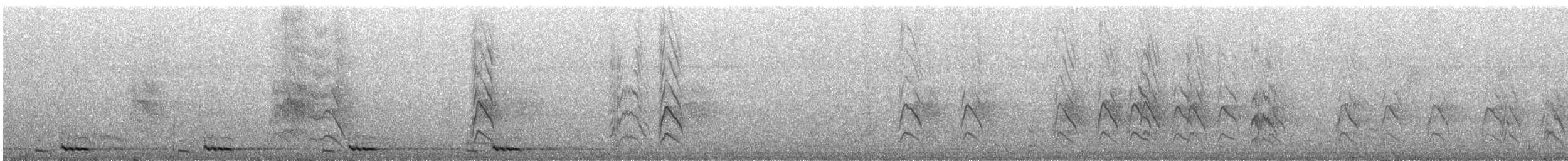 Kahverengi Başlı Barbet - ML151630621