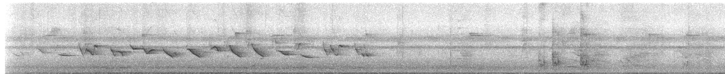 Kestane Karınlı Koca Tohumcul - ML151631121