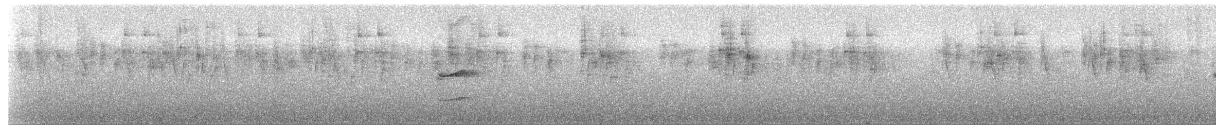 Grallaire d'Urrao - ML151631241