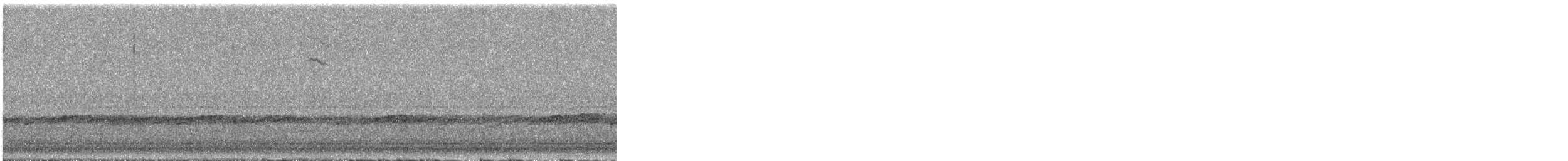 Острохвостая овсянка-барсучок - ML151747131