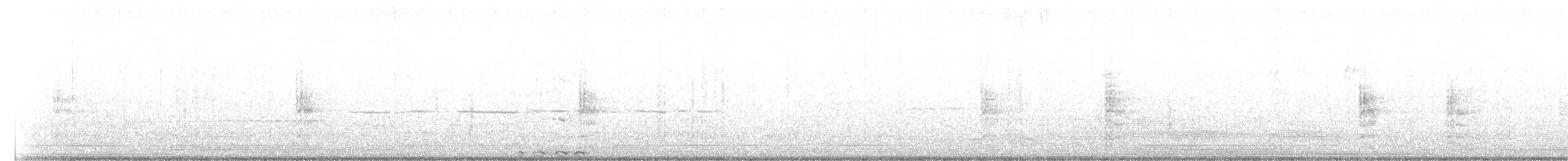 pygmérørdrum - ML151762661