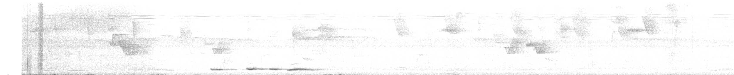 Short-billed Pigeon - ML151798521
