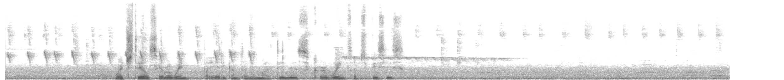 Wedge-tailed Sabrewing (Curve-winged) - ML151799831