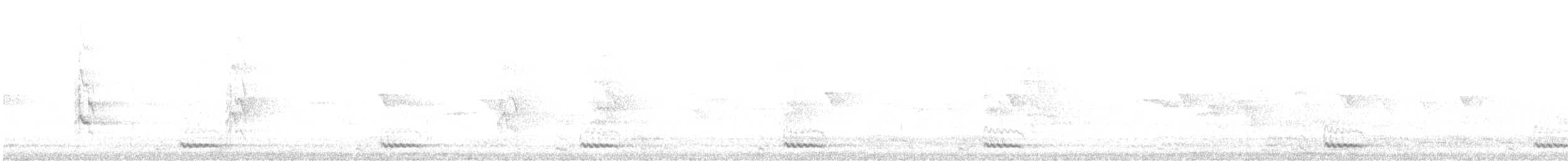 White-cheeked Barbet - ML151822391