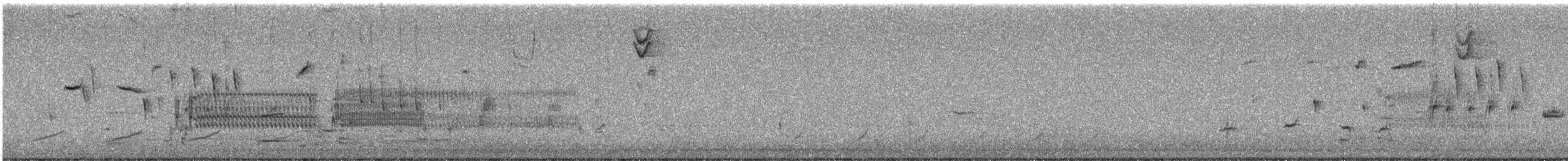 גיבתונית רוננת - ML151825971
