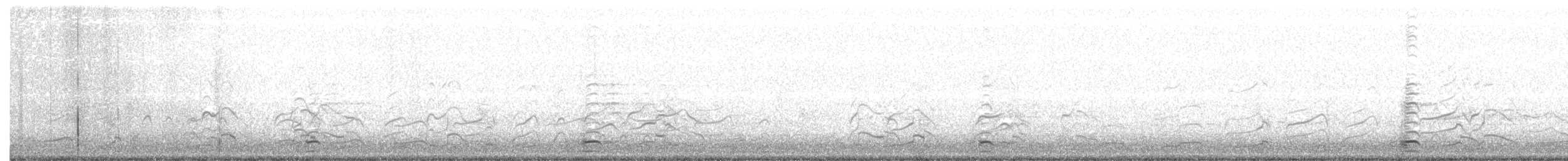 שחף אפור-זנב - ML151835121