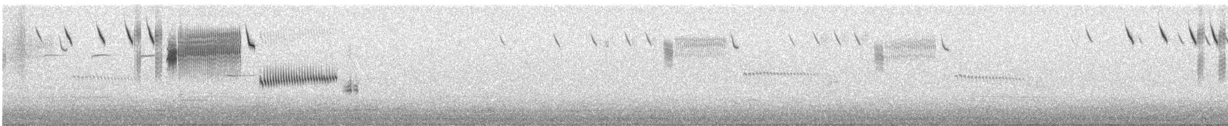 Savannah Sparrow (Savannah) - ML151858301
