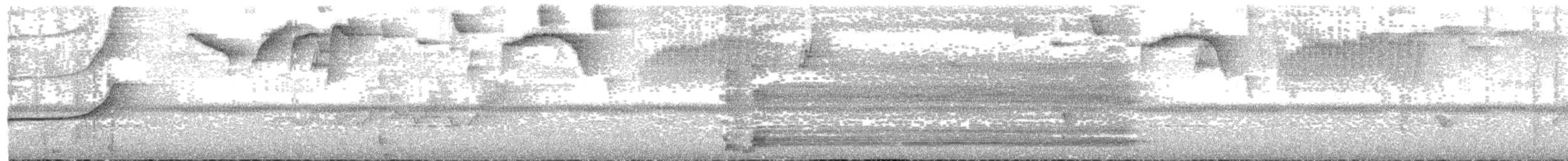 Red-bellied Grackle - ML151871011