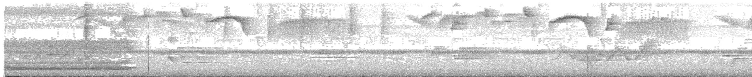 Red-bellied Grackle - ML151871021