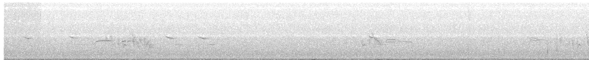 Тиранчик-тонкодзьоб північний - ML151927401