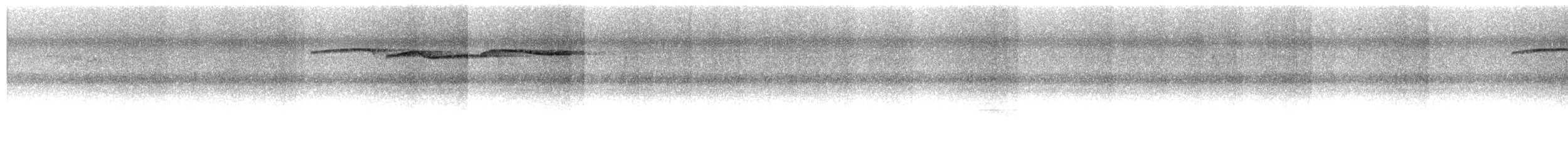 Серогрудый жемчужнокрыл - ML151963701