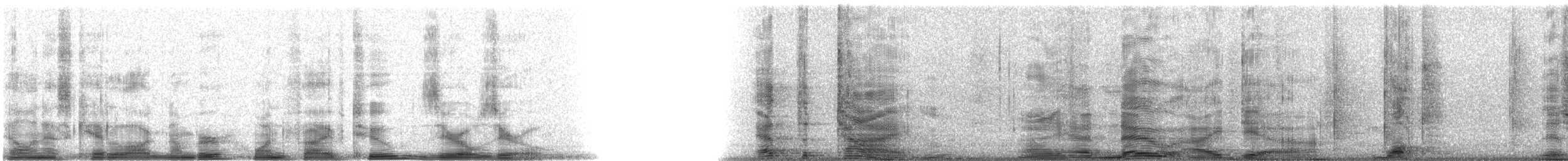 strnad zlatoprsý - ML15200