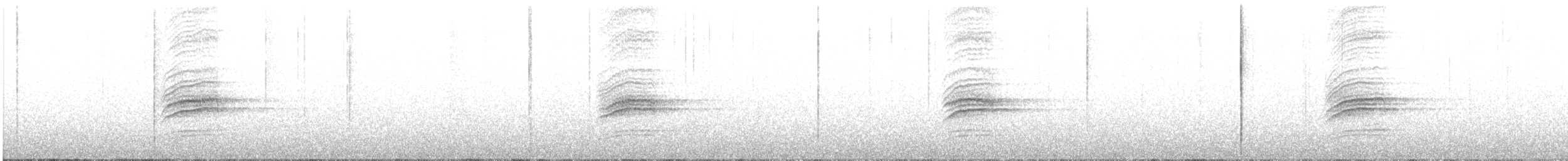 Дрізд-короткодзьоб плямистоволий - ML152139151