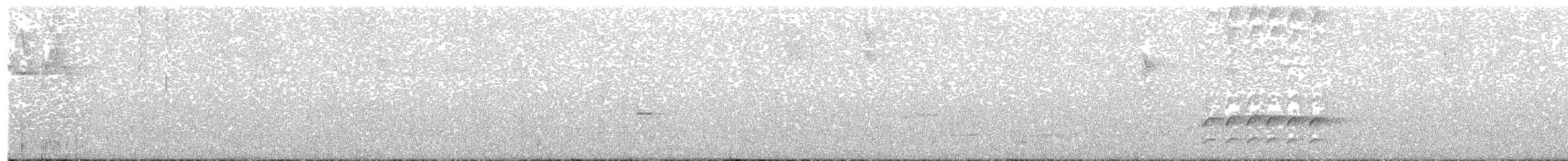 Short-tailed Hawk - ML152153931